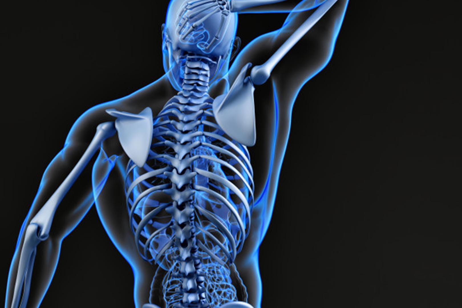 Bergerak otot kuat yang yang dengan yaitu dan tulang hewan Sistem Gerak