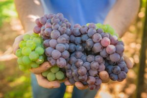 manfaat buah anggur untuk kecantikan